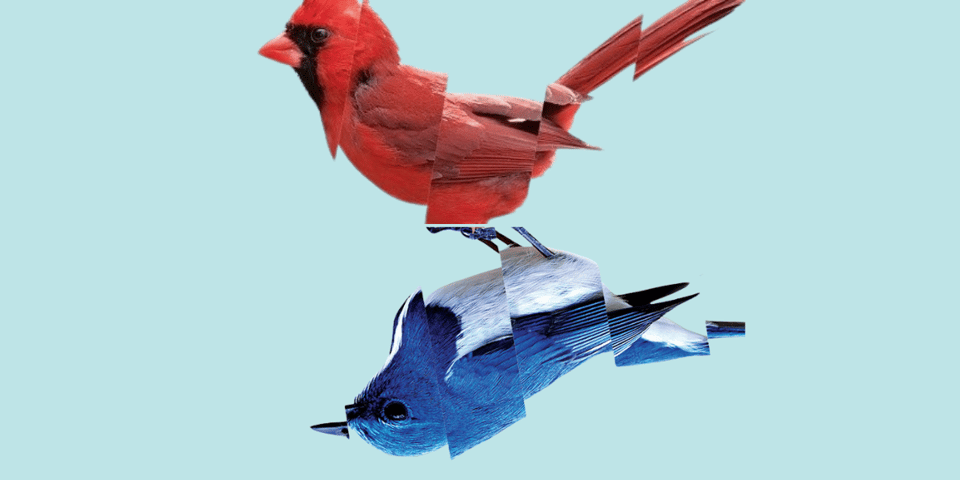 A red and a blue bird, representing the time agents.