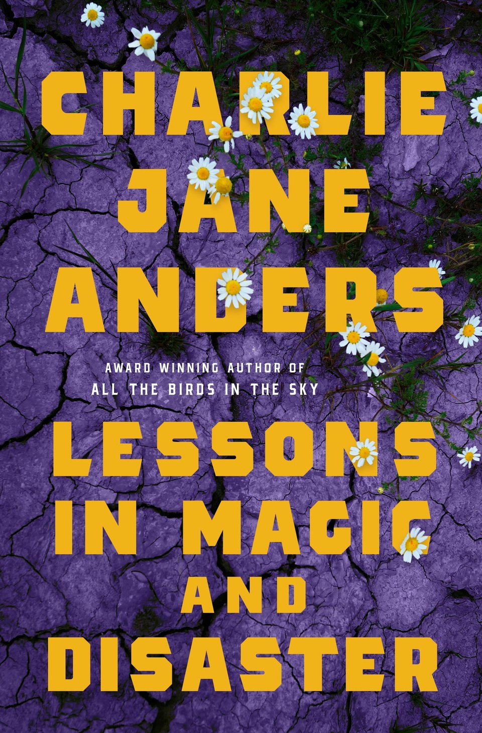 The cover of LESSONS IN MAGIC AND DISASTER, featuring purple cracked dirt with wild daisies bursting out through the cracks.