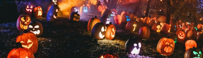 a group of carved pumpkins, lit with different colors, on the side of a dark and smoky hill
