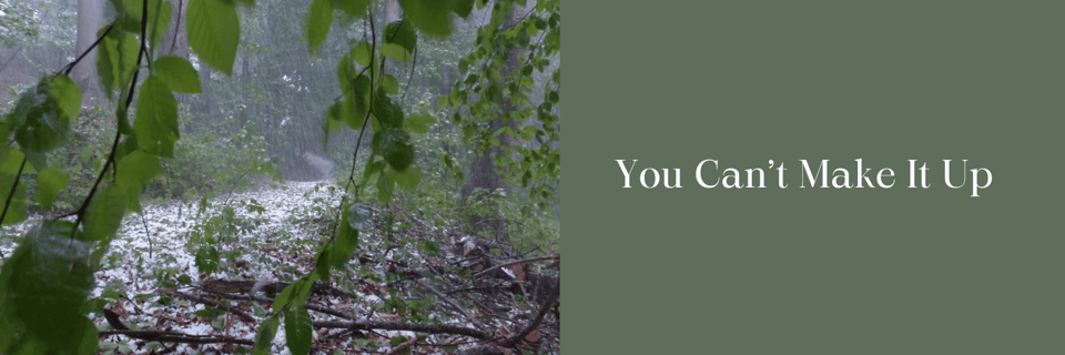 hail on a trail in the woods