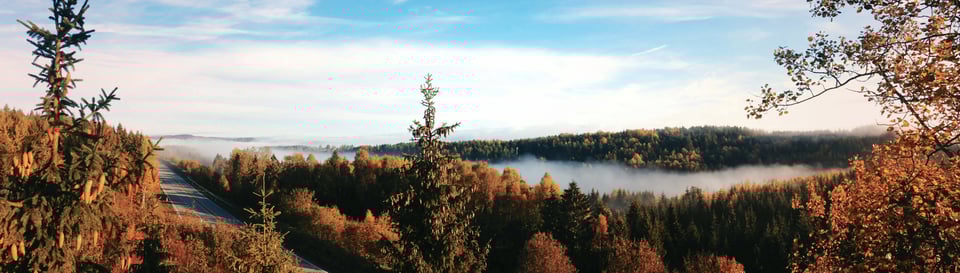 a road in a forest with fall leaves and a lake