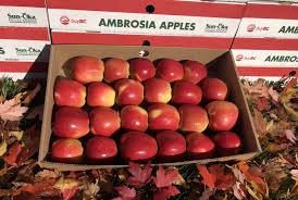 Apples Orders Close Tomorrow!