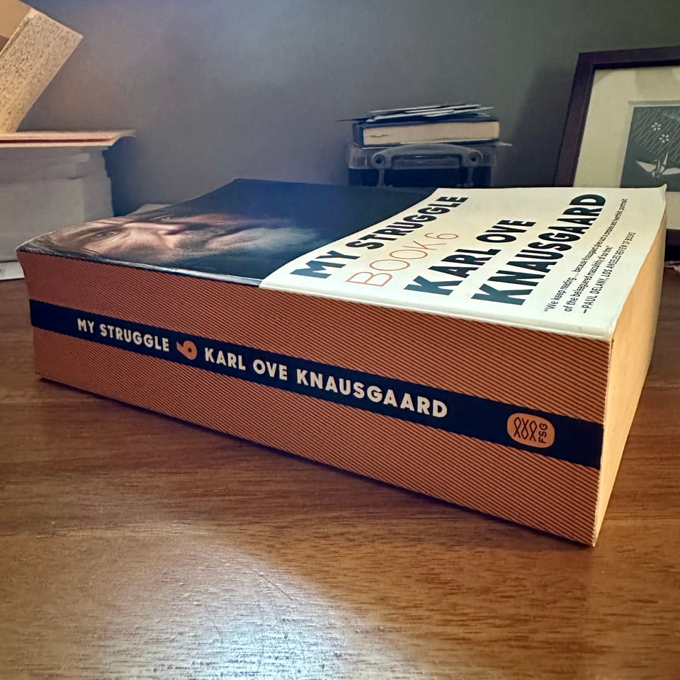Photo of the cover & spine of Book 6 of Karl Ove Knausgaard's novel MY STRUGGLE