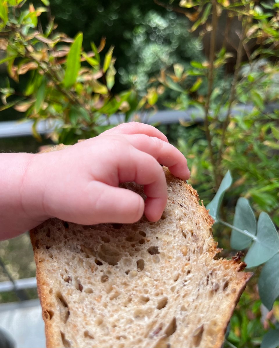 Brot