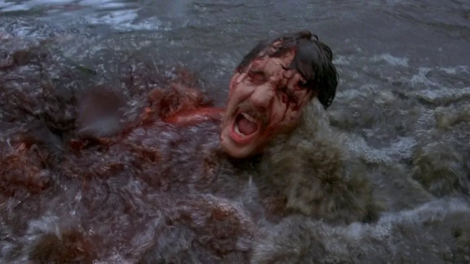 A moustached man screams in turbulent water, with bloodied face and shoulder, as a school of piranhas just below the surface tears him apart, in Piranha.