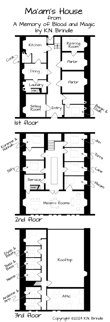 A floor plan drawing of a 3 story townhouse. The first floor is oriented around a long main hallway with stairs up at the back and various rooms opening left and right. In the back left is the large kitchen. The second floor is an open gallery with railings surrounding the view to below. Rooms open to either side with a set of double doors at the front of the house, opening into Ma'am's rooms. The third floor (reached by service stairs) has small rooms on one side, and attic and roof access on the other.