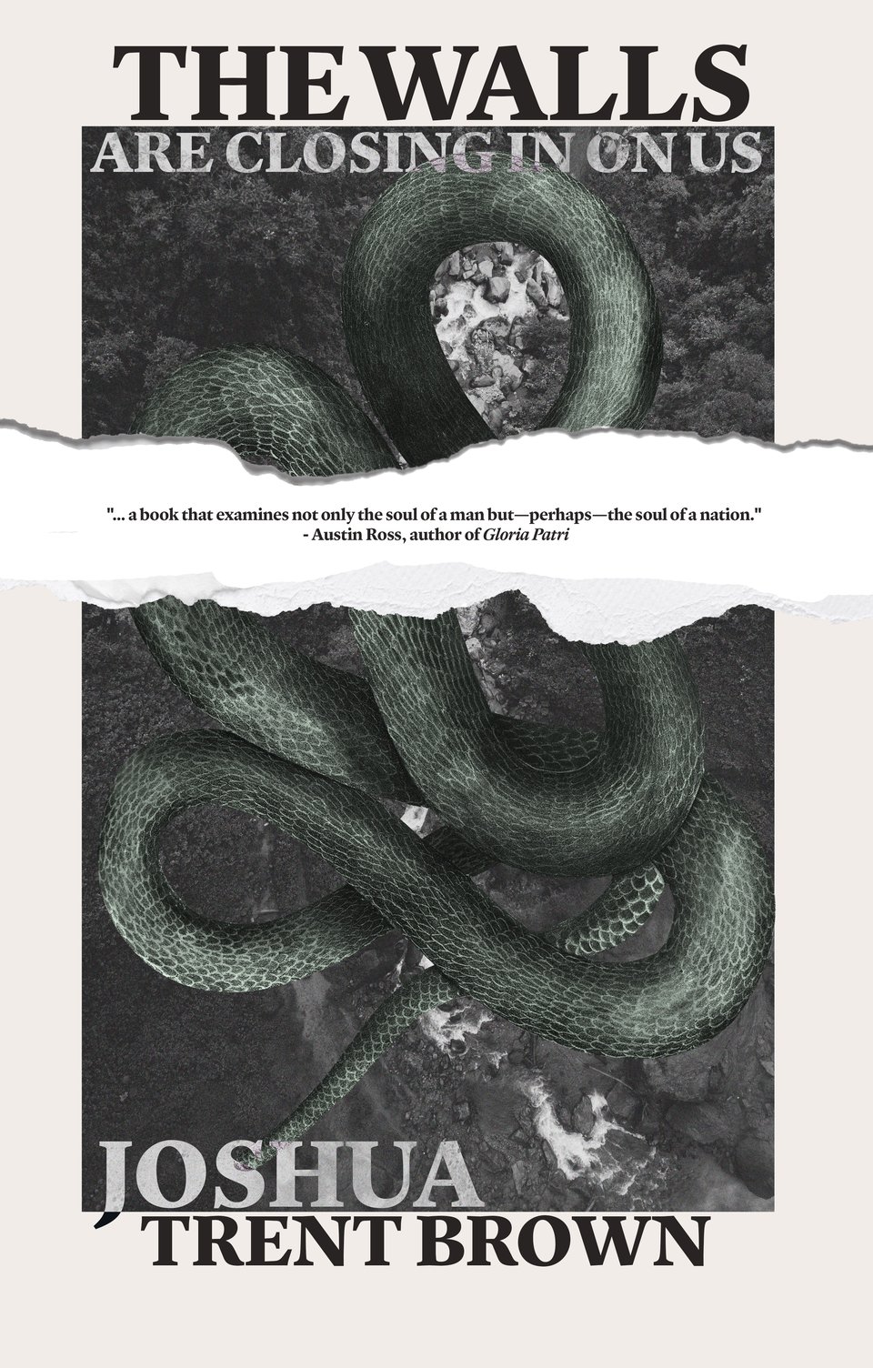 The front cover of The Walls Are Closing In On Us by Joshua Trent Brown features a snake curled and spread across the page, with a blurb that reads "'a book that examines not only the soul of a man but—perhaps—the soul of a nation.'"  —Austin Ross, author of Gloria Patri."