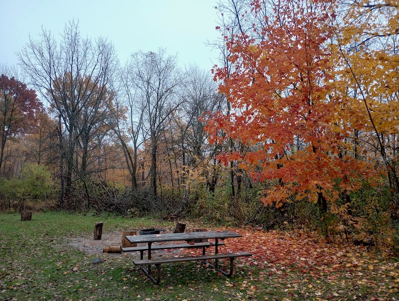 October days in Frontenac State Park are grand for picnics – no heat, no bugs, no fuss. Yes, it can get a tad chilly, so you might want to build a bonfire to warm your toes and char-broil your marshmallows. And what could be happier than a picnic with a bonfire? Say! Invite us if you have one! / Photo by Jake Gaster