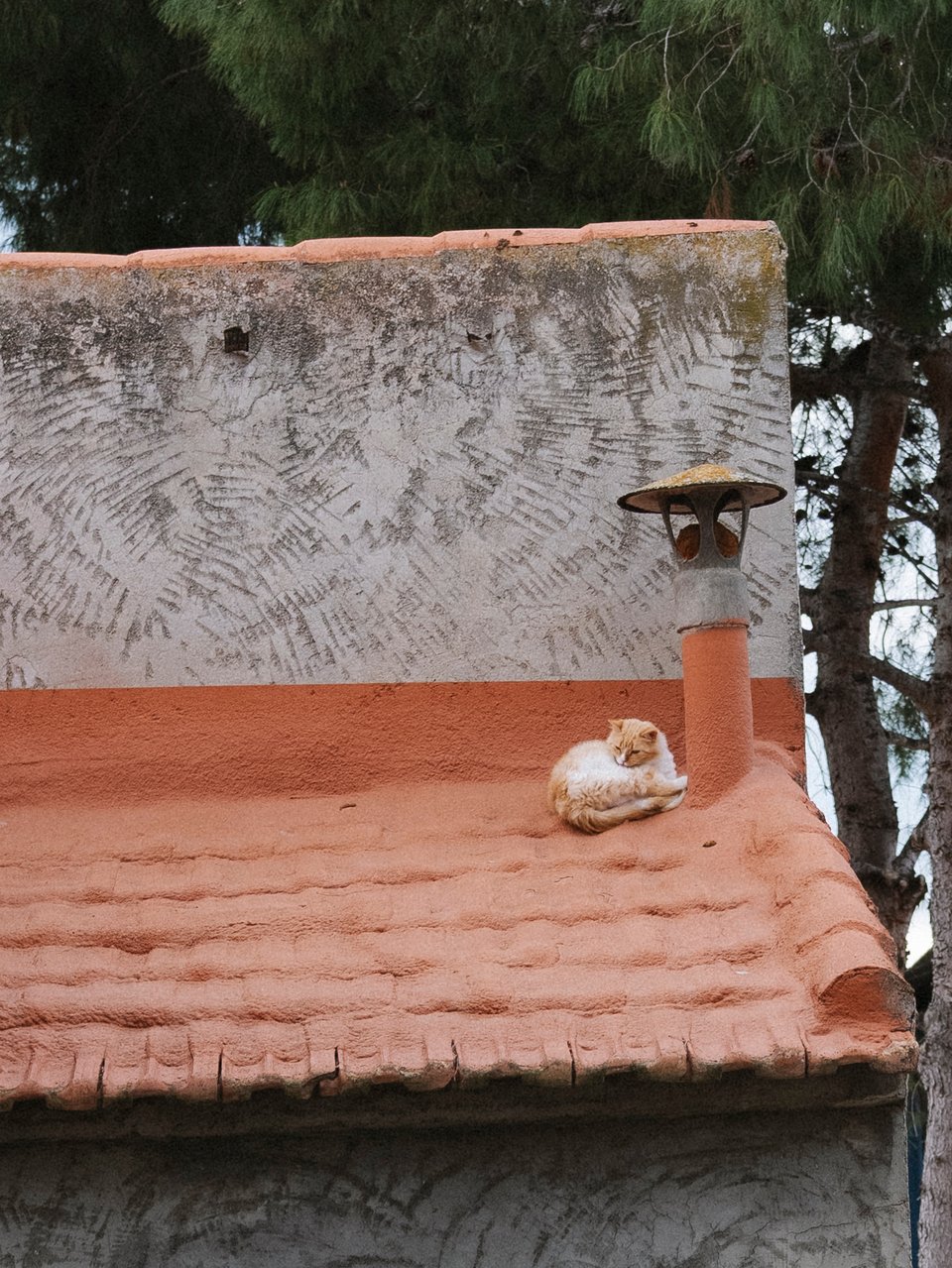Un gato naranja tumbado en un tejado naranja.