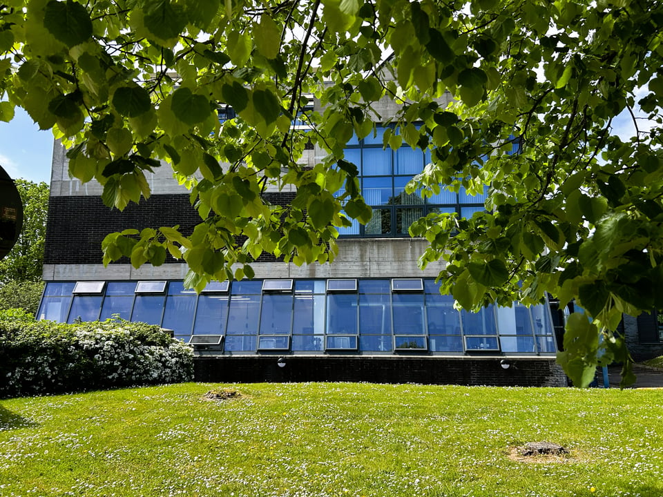 A modern building nearly hidden by overhanging tree leaves. It has dark brick walls and visible concrete floor plates. The ribbon windows are slanted and reflecting the sky.