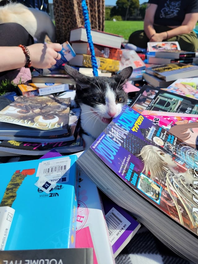 Kirby, a black-and-white cat, sits half-buried in the middle of a chaotic pile of brightly colored books. He appears to be gnawing a book and looking at it wide-eyed. Scattered humans sitting on grass are in the background.