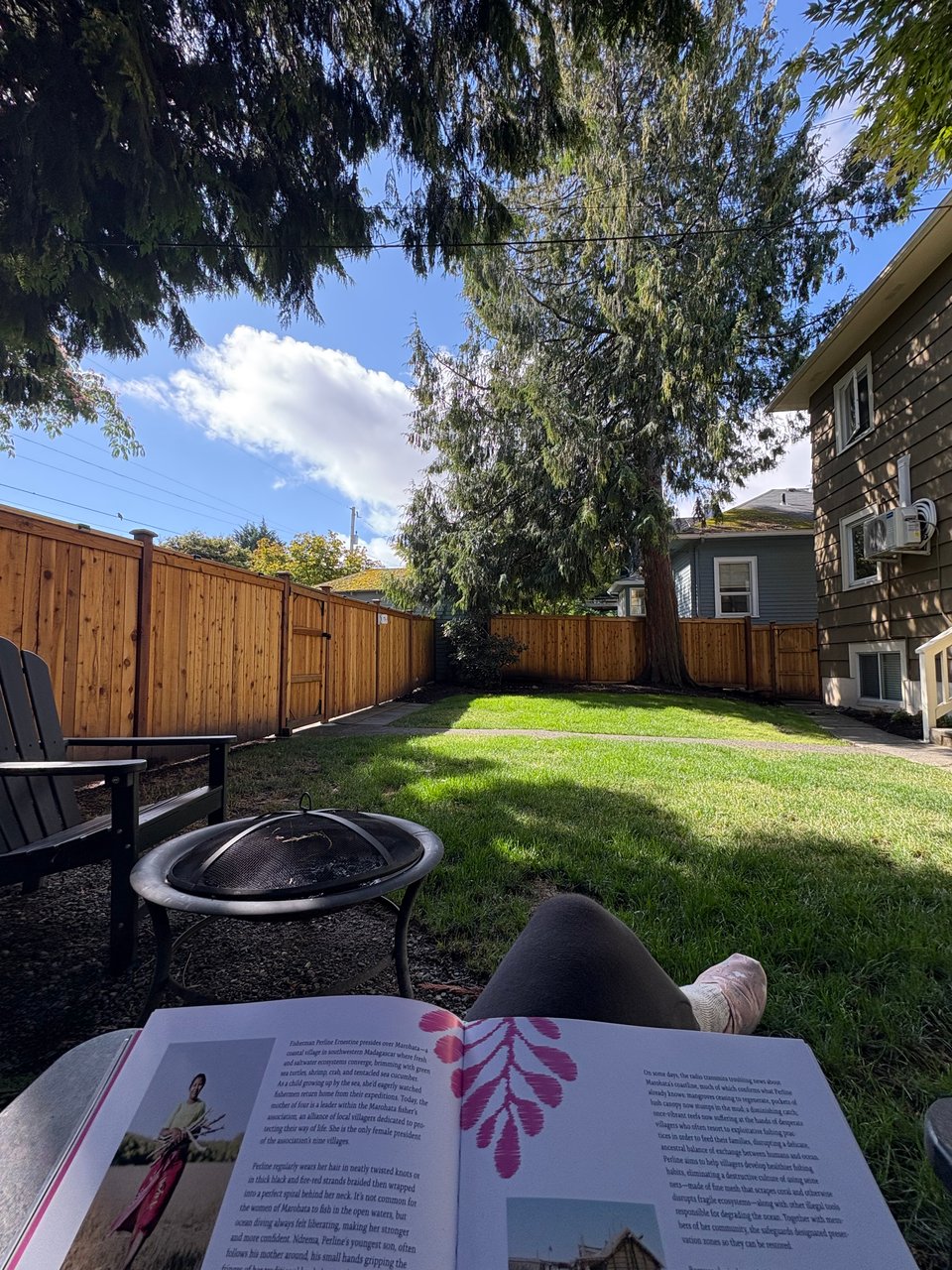 The backyard view of the author while reading a cookbook (Islas).