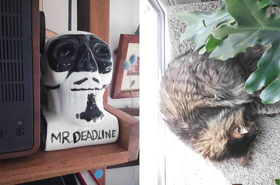 2 digital Instax images: left, a white porcelain bust of a skull with a domino mask, mustache, mouth, and beard painted on in black, with "MR. DEADLINE" painted on the base; right, a curled-up sleeping tabby cat viewed from above, with a few leaves from a houseplant on the right side.