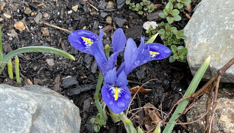 Hitting the End of February