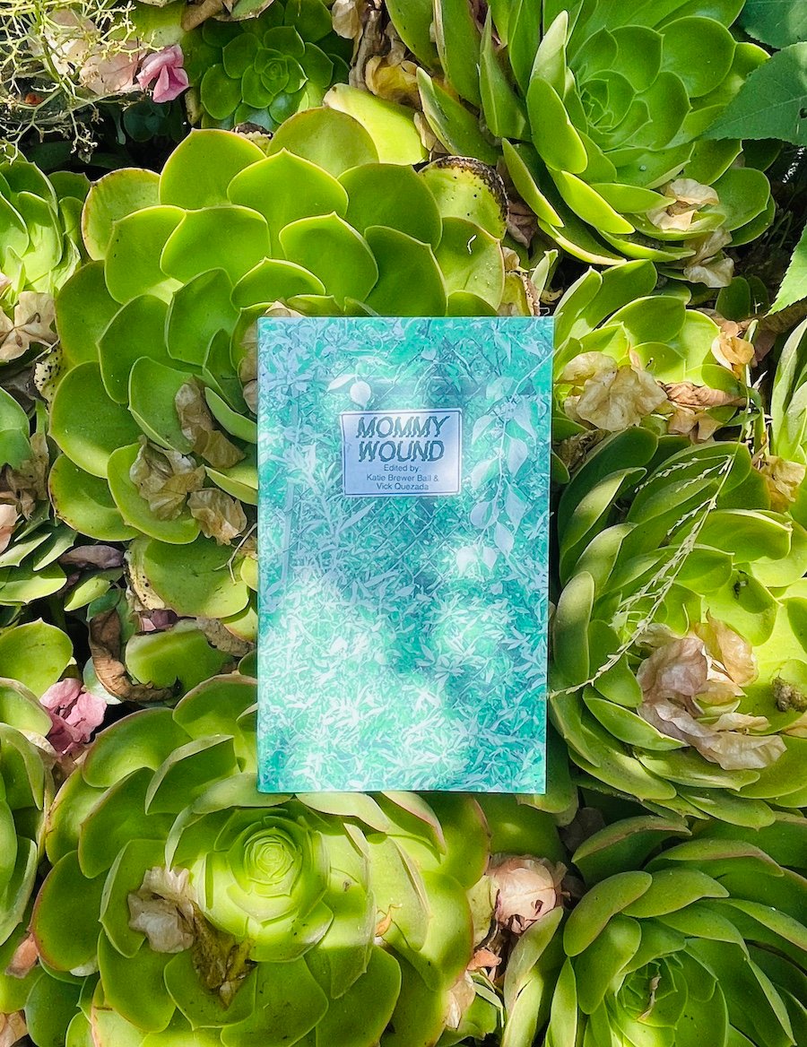 the book Mommy Wound surrounded by succulents