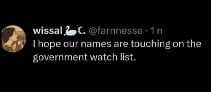 Twitter post from @farnnesse. "I hope our names are touching on the government watch list."