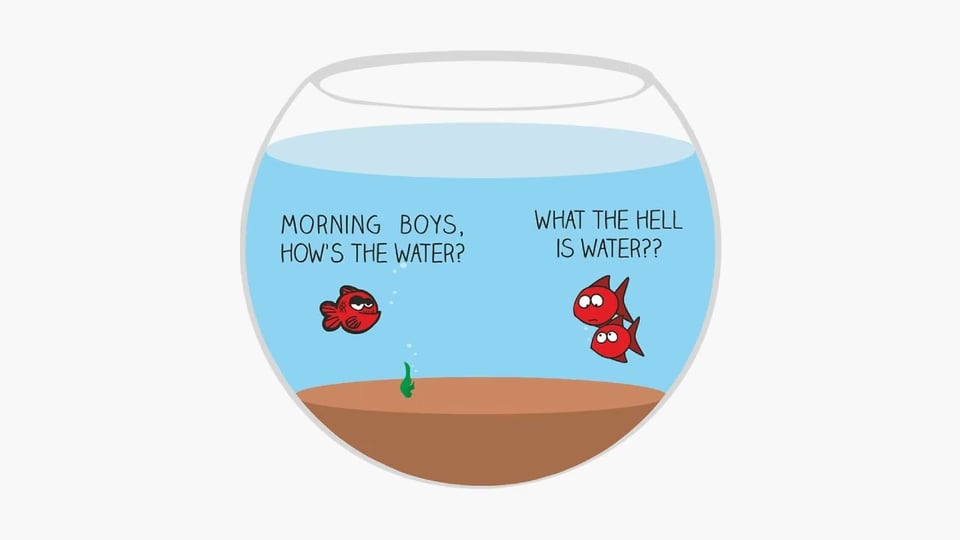 three fish in a bowl. One asks the others; How’s the water?