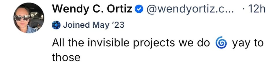 A Bluesky post from Wendy's account that reads "All the invisible projects we do (labyrinth emoji) yay to those