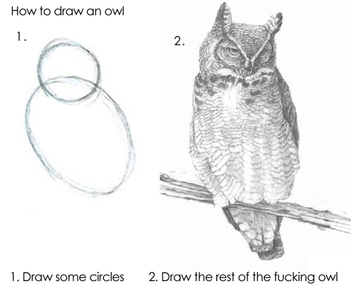 The "draw the rest of the owl" meme; on the left are two circles as step one, on the right an elaborate pencil drawing of an owl, with the instruction "draw the rest of the fucking owl"