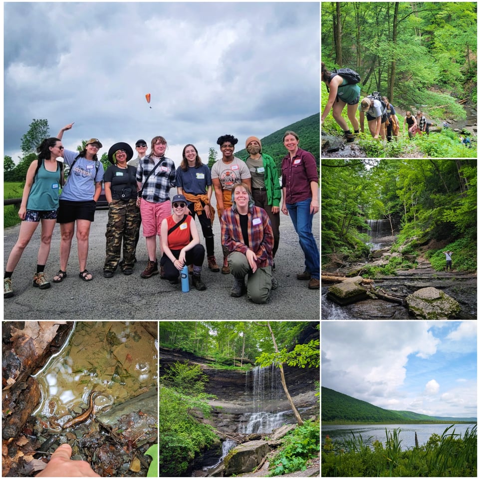 Collage of photos from the last hike at Labrador Hollow & Tinker Falls