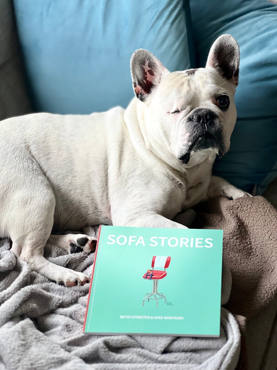 Photo of Hitch the dog posing with a copy of the book, Sofa Stories