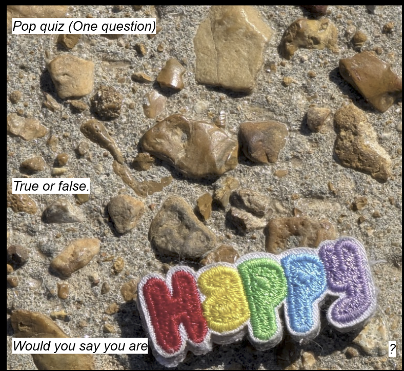 A rocky sidewalk with a multicolor patch that reads "Happy" with each letter being a different color. The full text reads "Pop quiz (One question) True or false. Would you say you are Happy ?