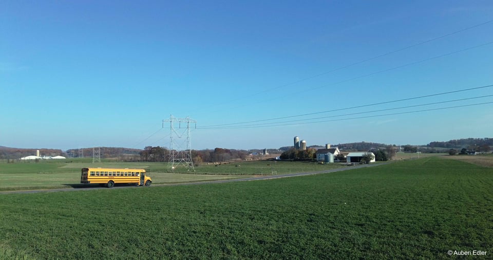 Image of a yellow school bus in a lush green countryside. Image is by Auberi Edler.