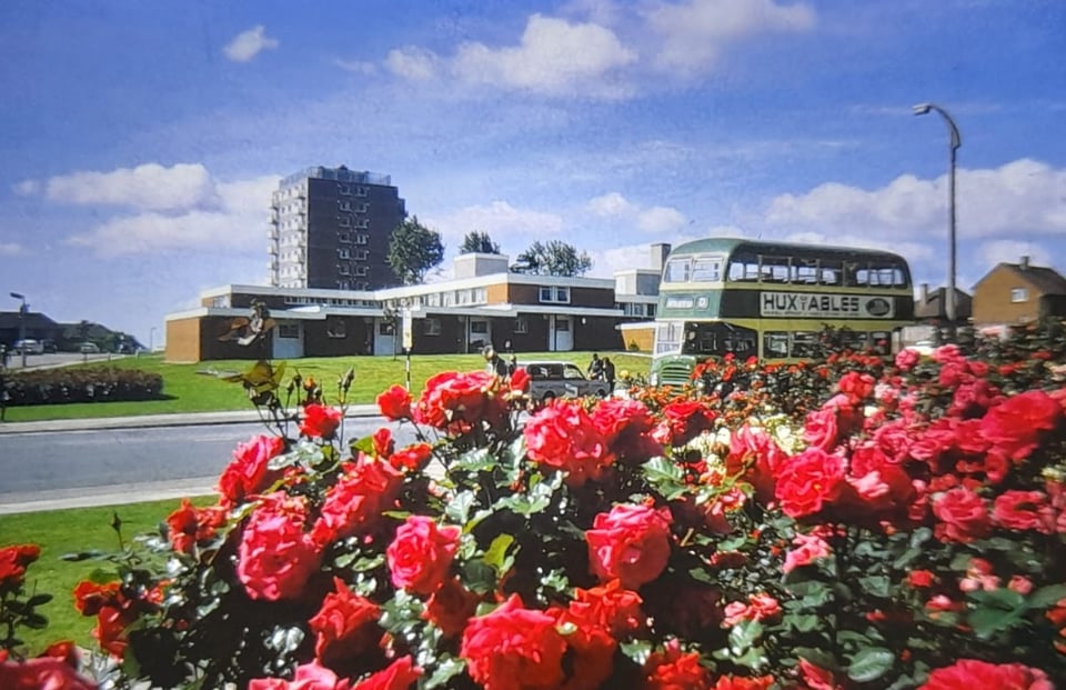 A tower block stands beyond some modern bungalows on a sunny summer's day. In the foreground, a green corporation double-decker bus is going past, and there is a flowerbed heaving with red roses.