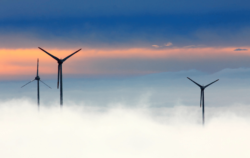 A photo of three tall wind turbines poking out over a low white layer of fog. In the background are dark blue clouds with pale pink sky showing in the middle.
