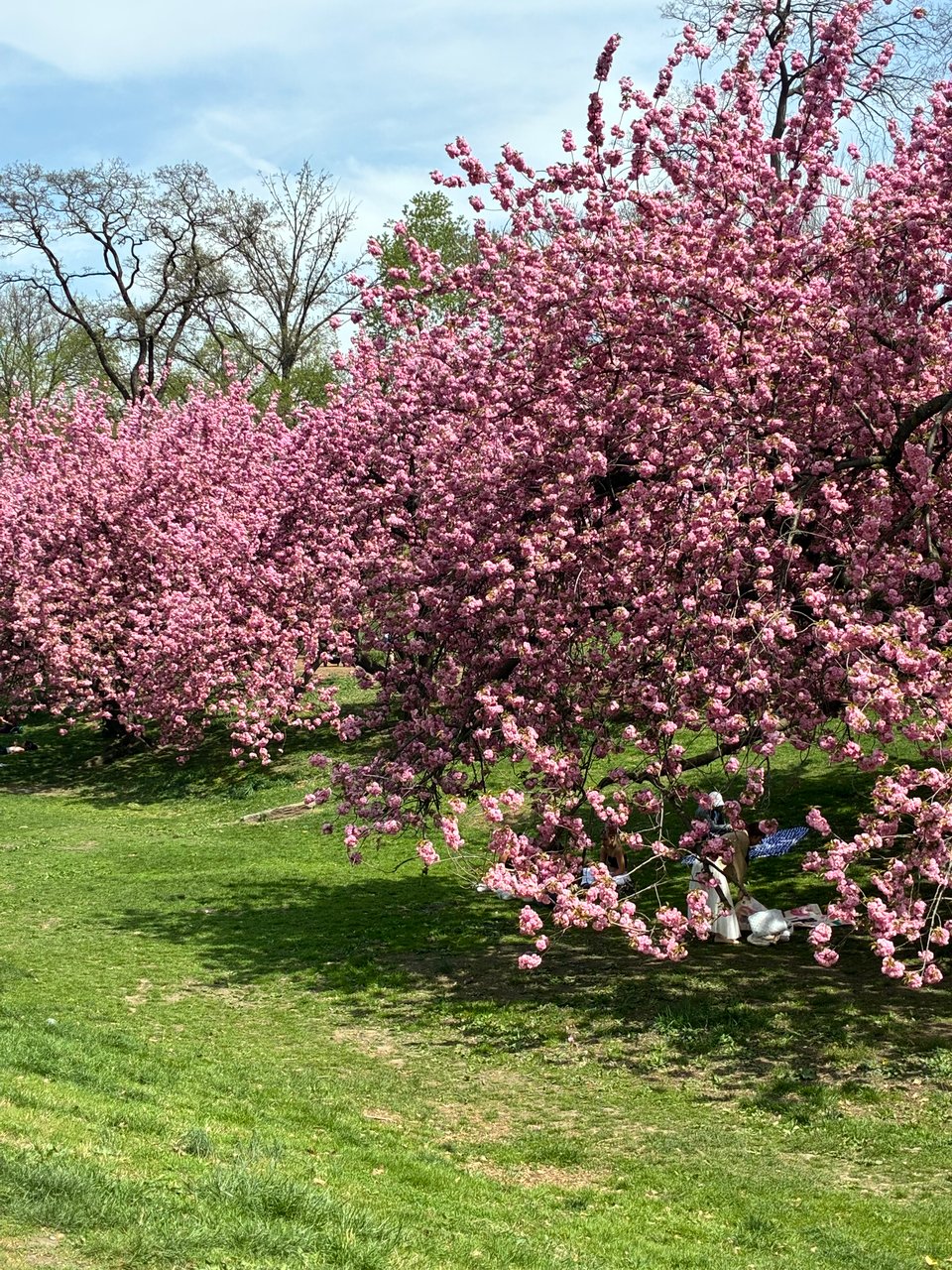 Saturday, April 18, 2026. Annette’s Roundup for Democracy.