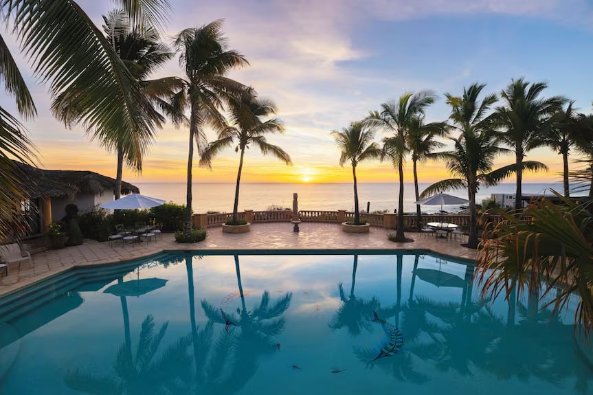 What the birds believed