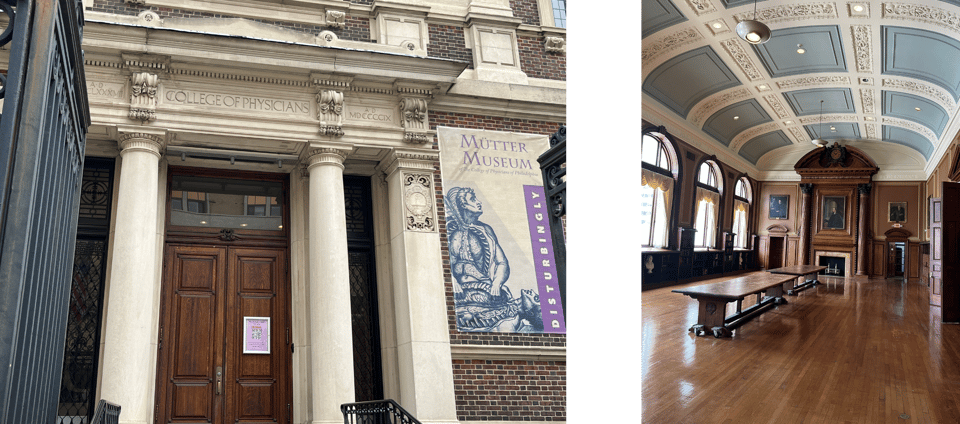 Mütter Museum