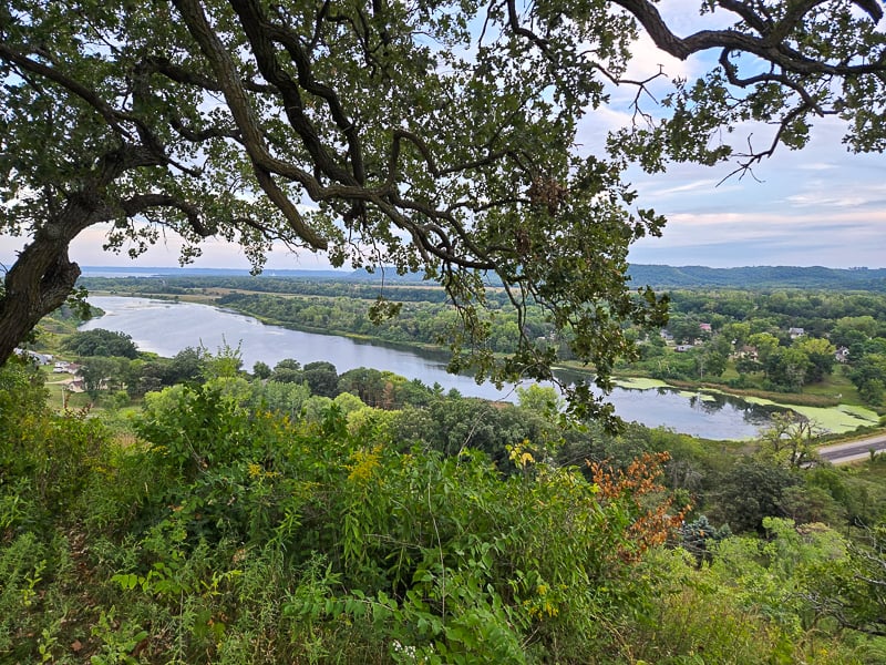 From one side of the Waconia Cliffs Loop, you can see the Frontenac pond, Frontenac Station, and south to Lake City. There’s a picnic table and bench to enjoy them from. / Photo by Pamela Miller