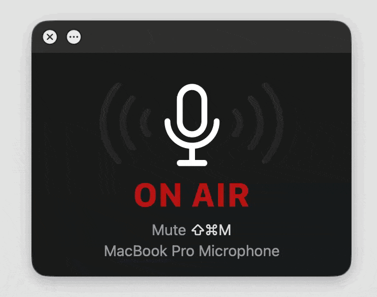 Screenshot of Mic Check interface with a VU meter showing audio input