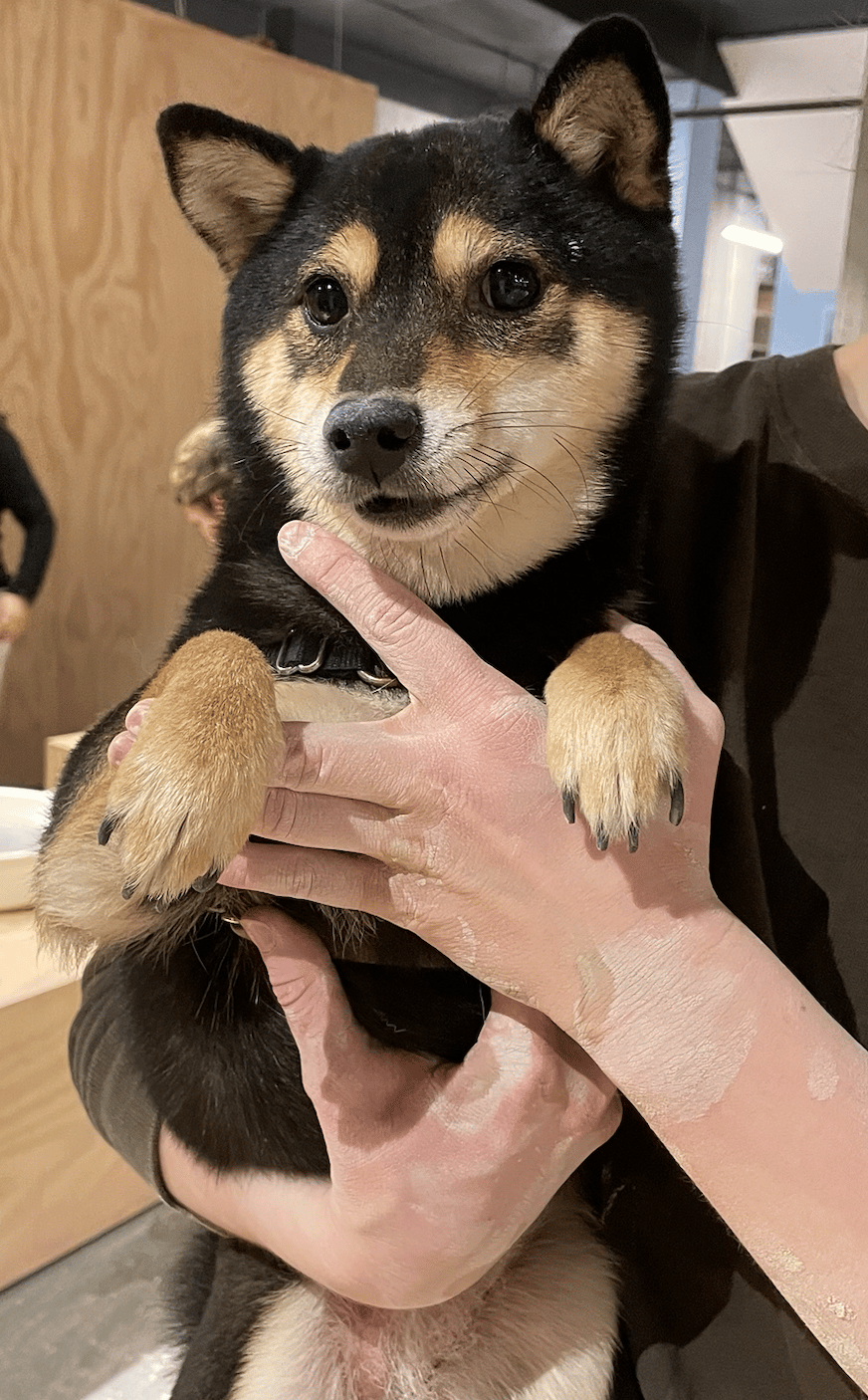 Mini Shiba making Pottery