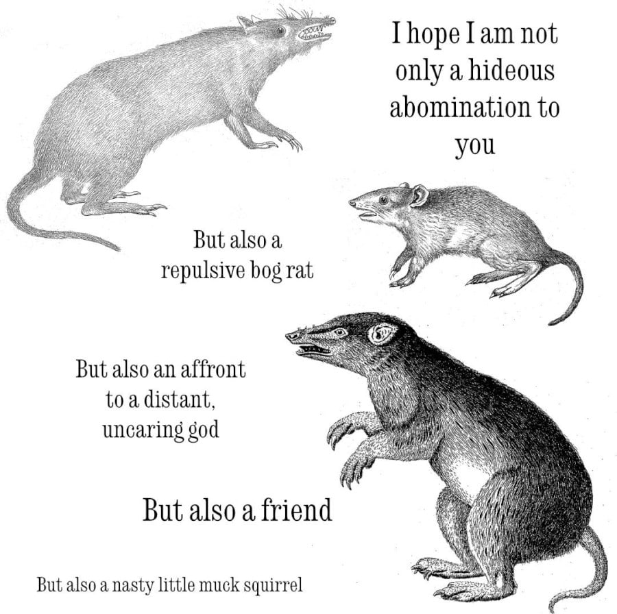 3 illustrations of rats, with the text: I hope I am not only a hideous abomination to you / But also a repulsive bog rat / But also an affront to a distant, uncaring god / But also a friend / But also a nasty little muck squirrel