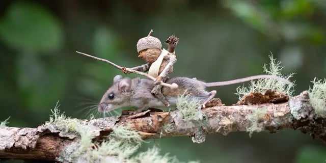 A small rodent on a tree branch with an acorn stick figure riding on its back