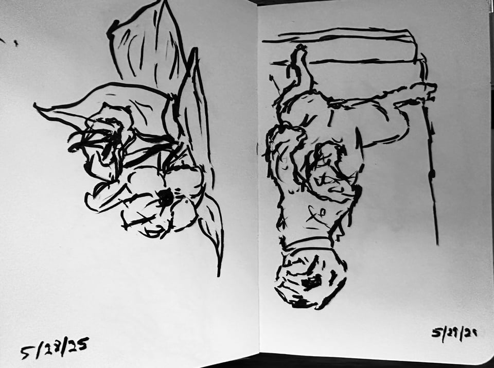 two brush-pen sketches in a notebook: left is some flowers, right is an aussiedoodle flipped on her back, rear legs splayed
