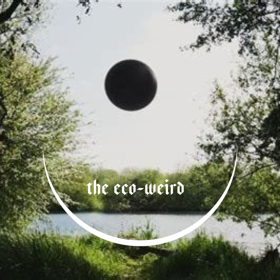 Image of a black orb over a landscape from Rachel Rose's film Enclosure.