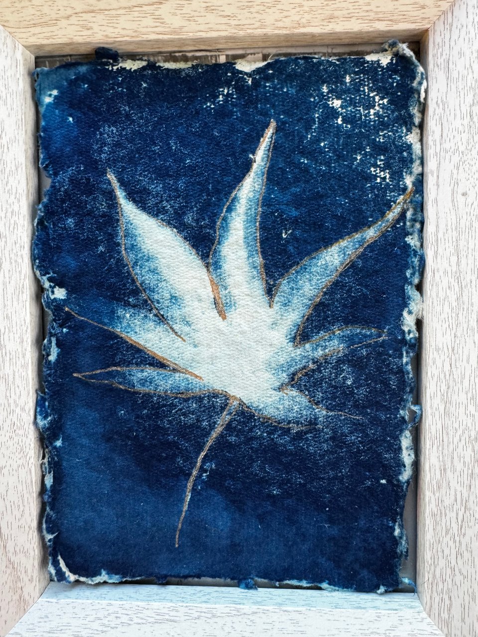 cyanotype of Japanese Maple leaves with metallic ink outline
