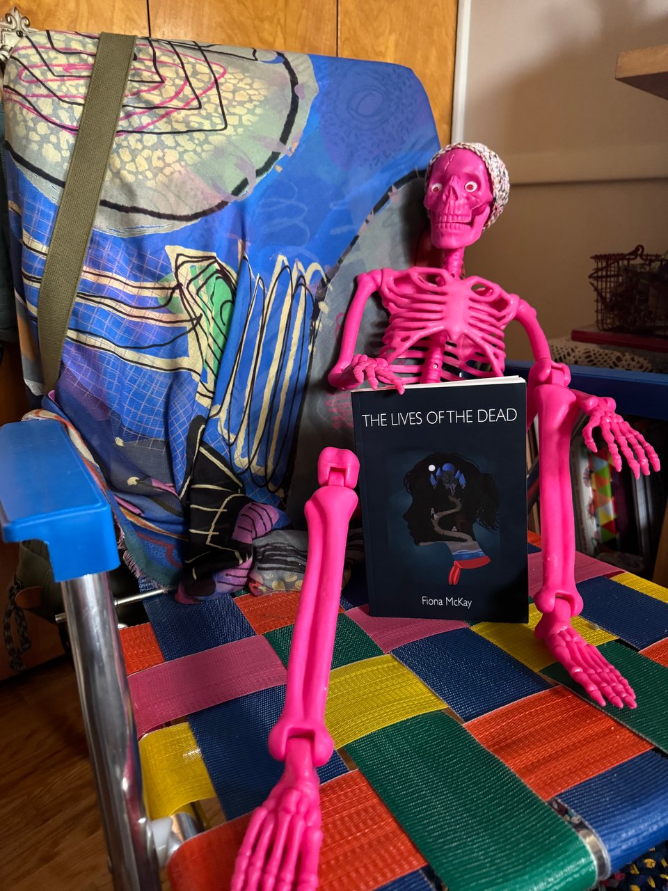A bright pink plastic skeleton (Skelly) with a crocheted beanie is sitting in a very relaxed position in rainbow outdoor folding chair, indoors. A colorful silk art scarf is draped over the chair this week. Skelly is holding a copy of The Lives of the Dead, by Fiona McKay.
