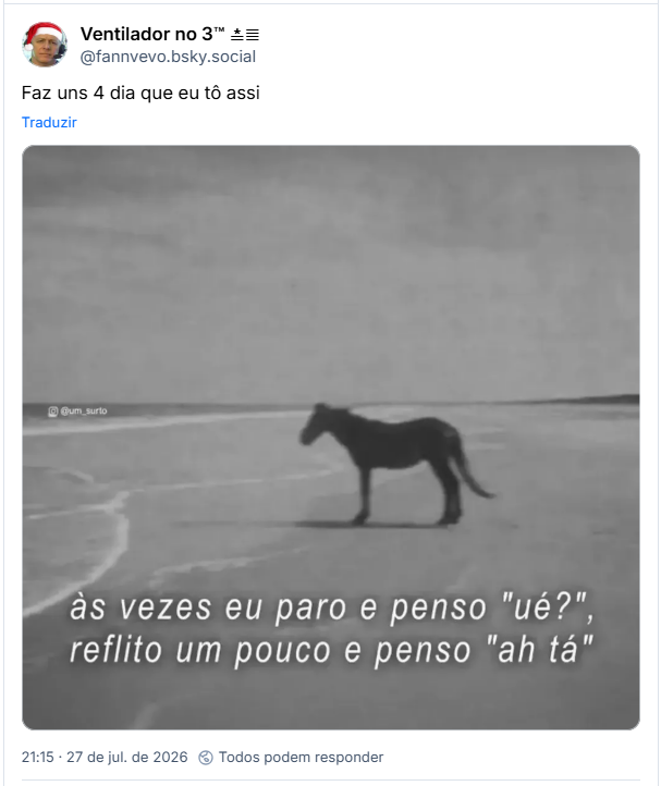 Post de Ventilador no 3™ ≛≣ (@fannvevo.bsky.social): Faz uns 4 dia que eu tô assi (imagem em preto e branco de um cavalo na beira de uma praia, com a legenda: às vezes eu paro e penso “ué?”, reflito um pouco e penso “ah tá”). A imagem foi publicada sem alt text.