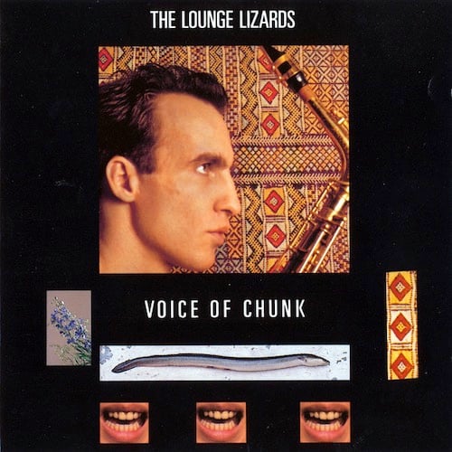 A color photograph of (I believe) bandleader John Lurie in profile. He is a white man with short brown hair in a widow's peak, with a long flat nose. Behind him is a complex pattern of diamonds and lines, possibly from a rug. He is facing a saxophone, that we can only see the top part of. Below this picture are several rectangles with other pictures. There is a sprig of some kind of flower, possibly lavender. There is a close-up of the diamond pattern from the rug or wall drapery or whatever it is. There is a picture of an eel. Along the bottom are three pictures of the same exact mouth, slightly open and revealing all their teeth.