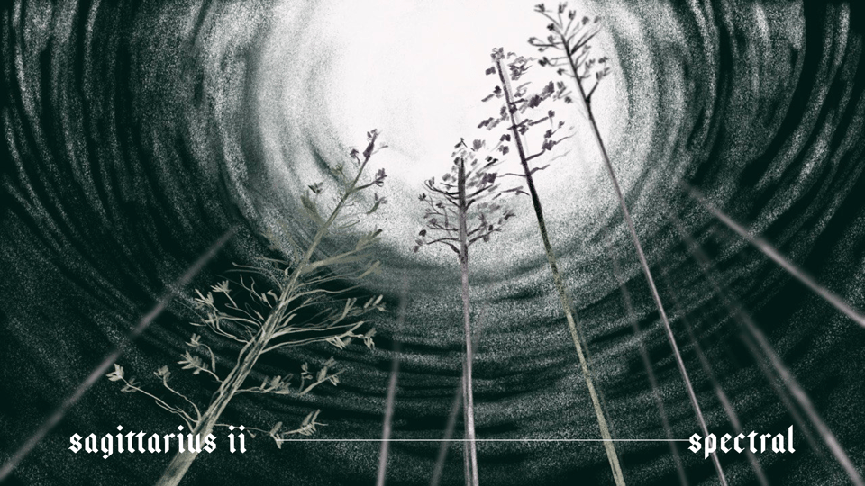 spectral trees in white forest