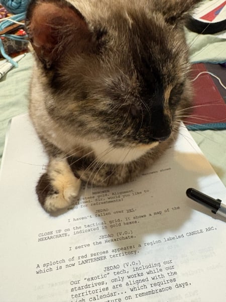 cat loafs on Candle Arc script printout