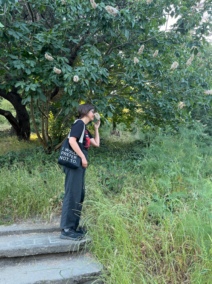 me wearing all black and a tote bag that says "I would prefer not to," standing on cement steps in a park and smelling the flower of a buckeye tree