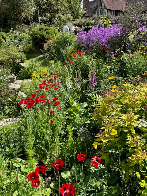 Garden with a profusion of red, yellow, white and purple flowers