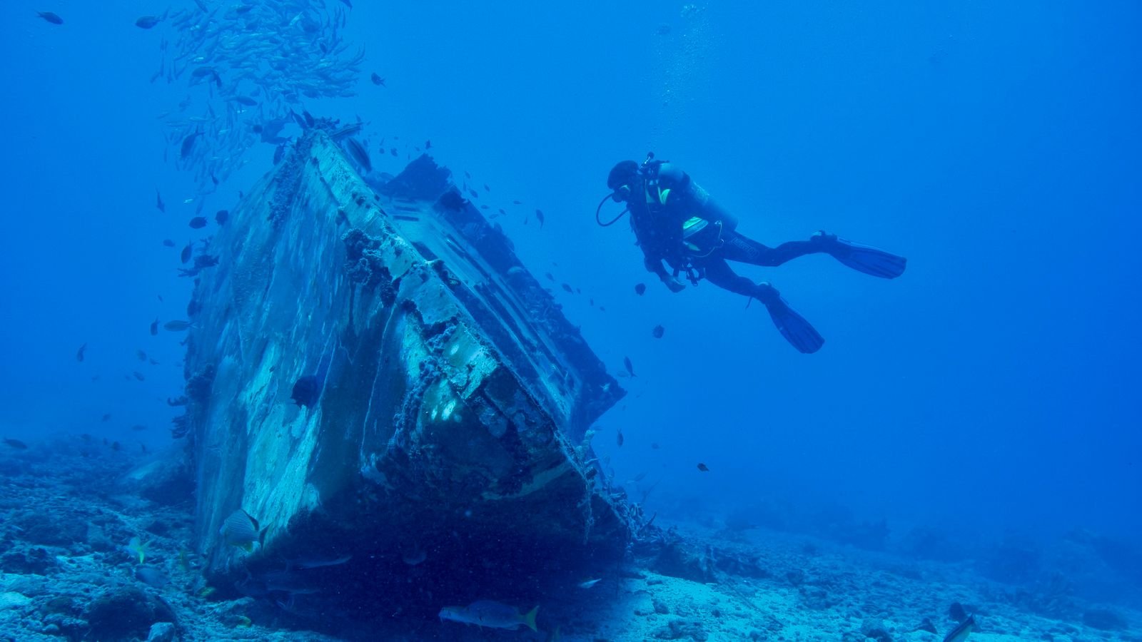 A scuba diver exploring a sunken shipwreck surrounded by marine life