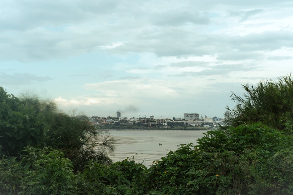 Skyline of Kisumu in betweeen vegetation
