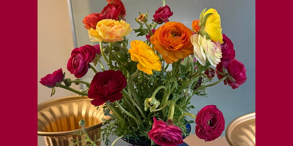 A vase of yellow, orange, and red Ranunculus